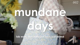 lab work, stationery pal haul, cat reveal 🤍 | PhD Vlog 🎓