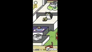 【ねこあつめ２雑談配信】　すけさんラジオ　#42