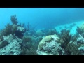Diving the wreck of the Constellation in Bermuda