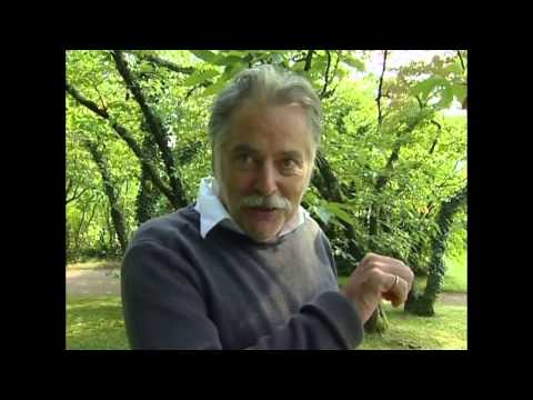 Charlie Chaplin   A King In New York 6 6   Documentary