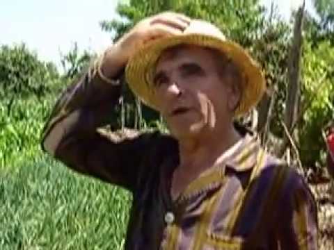 Futaiul de la Marasesti - poezie despre "lupta" de la Marasesti recitata de nea Jugaru:)