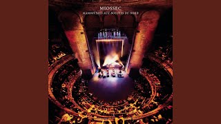 Des touristes (Live)