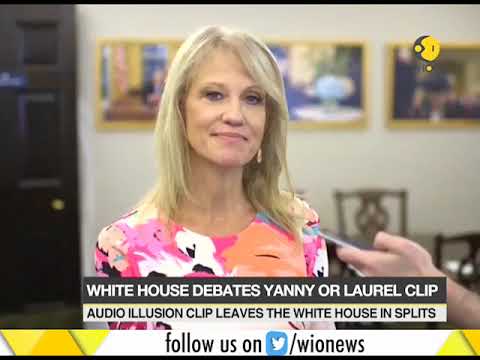 White House debates on the Yanny-Laurel viral audio clip