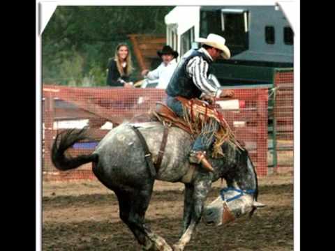 Darryl Worley Sounds Like Life To Me