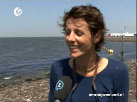 K's Choice: 'Het is fantastisch om weer terug te zijn' Concert at Sea 2010