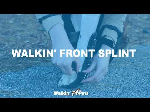 Walkin' Front Splin