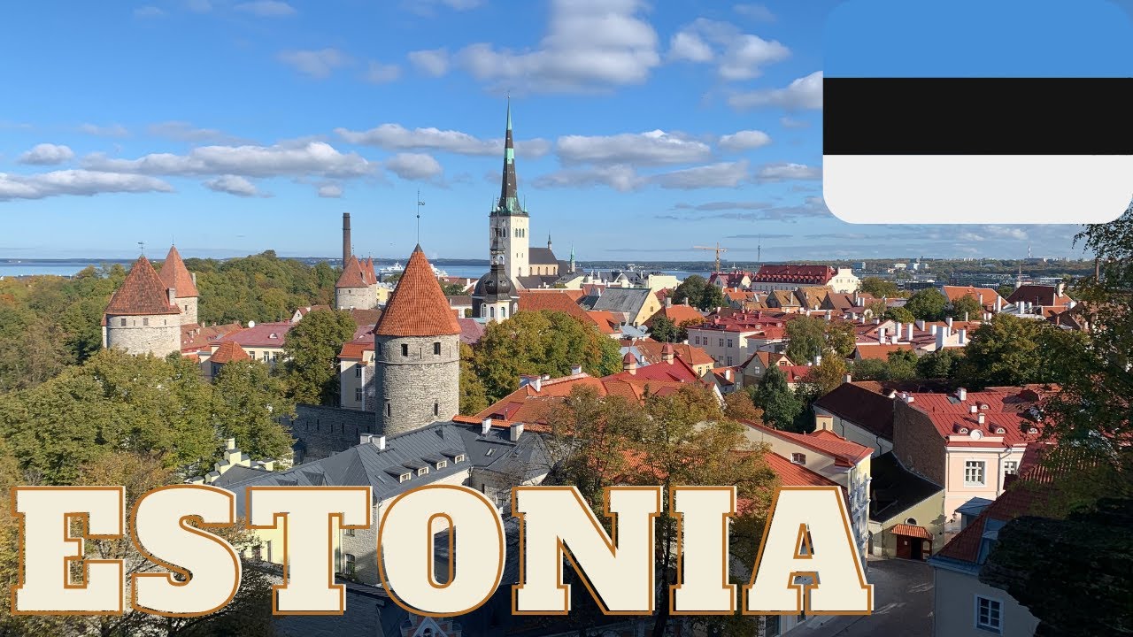 Immersive street-level walking tour through Reykjavik Harbor, Iceland, showcasing authentic urban landscapes, local architecture, and the vibrant atmosphere of the city's neighborhoods