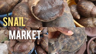 Come With Me To Snail Market +  Prices Of Snails || Marketvlog