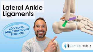 Lateral Ankle Ligaments Explained | Anatomy for Physiotherapists