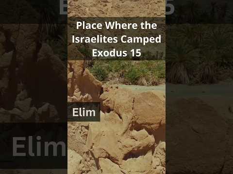 Elim: Place Where the Israelites Camped, Exodus Route from Egypt - Full Video in Description