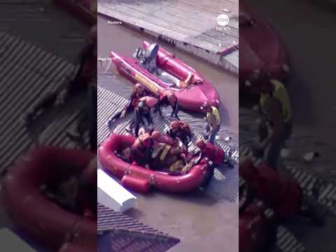 Horse rescued after being stranded on rooftop amid flooding in Brazil