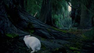 Avril Lavigne - Official Music Video - Alice (Underground)