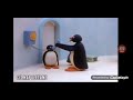 Primo Video Di Pingu Napoletano