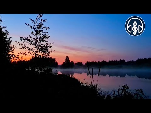 Singing of forest birds with cicadas at the night lake. Perfect for sleeping!