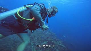 [4K] シミラン諸島ダイビング