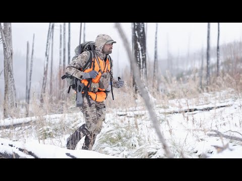 Great Hunt Series : Mountain Whitetail With the  S20 Hunter