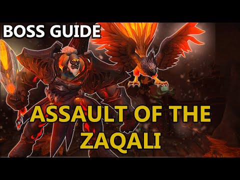 Assault of the Zaqali - Normal and Heroic Guide