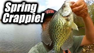 BIG CRAPPIE Fishing From The Bank! (Spring Bank Fishing)