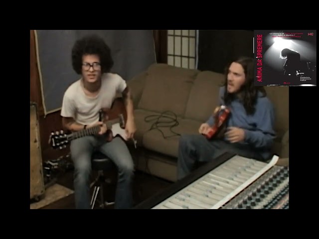 Video preview