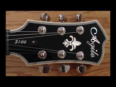 Agile Guitars: A Short History