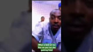 I don’t own rights to music #nyc #sporty #thieves #pigeons #nooo #nope