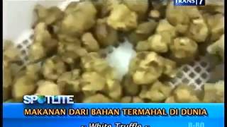 Download lagu These Are the Foods Made from the Most Expensive Ingredients in the World mp3 Download lagu These Are the Foods Made from the Most Expensive Ingredients in the World mp3