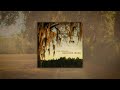 Cole Swindell Dirty Dancing Audio