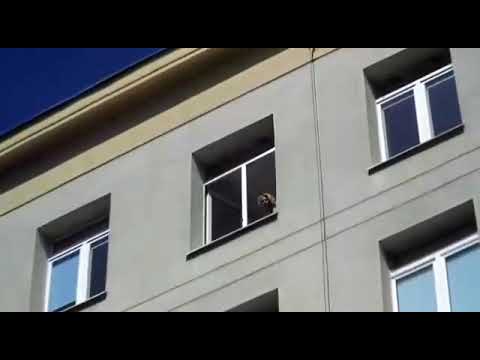 Tenor polonês Leszek Świdziński