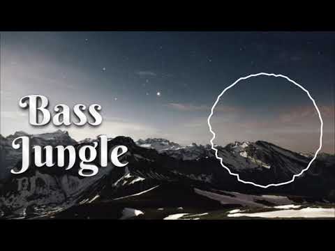 Kovan, 3rd Prototype, Alex Skrindo, Unknown Brain, Rudelies - House Mix 2020 [Bass Jungle Release]