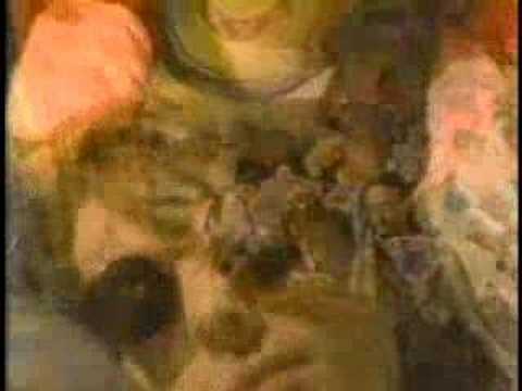 The Jazz Butcher - Girl Go