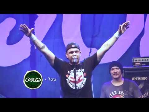 Yara - Casulo