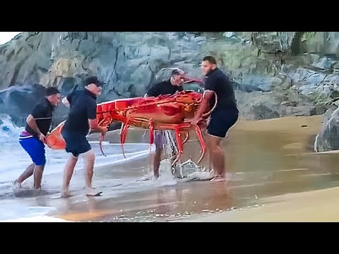 0.0001% Possible Moment Caught on Camera | Syed Kashif