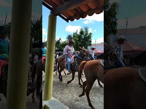 cavalgada de Vila Varjota Ererê Ceará 2023🕌🌳🌴🌵🐴🐴🐴