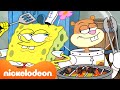 SpongeBob BBQ Musim Panas SpongeBob Kompilasi 45 Menit Nickelodeon Bahasa
