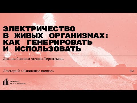 «Электричество в живых организмах: как генерировать и использовать». Лекция Антона Терентьева