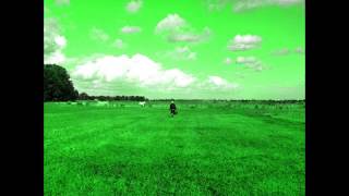 biosphere - pipistrellus