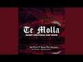 Download Lagu Dj Te Molla X Mashup Levan Polkka Remix Slow Mengkane INS Mp3 Free