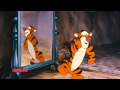Kleine Abenteuer Mit Winnie Puuh Winnie Puuh Trifft Tigger