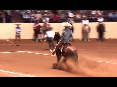 The 5 Best Horse Calas – National Charro Querétaro 2015