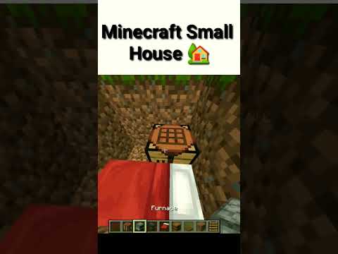 Mind-Blowing Small House Build in Minecraft! 😱 #shorts
