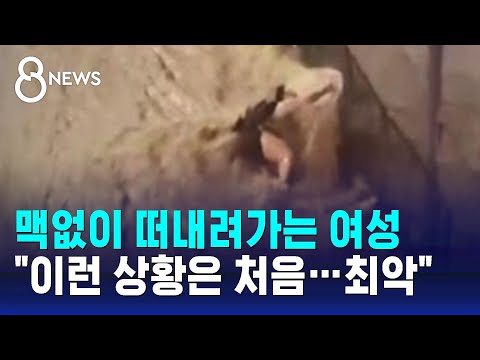 아이콘