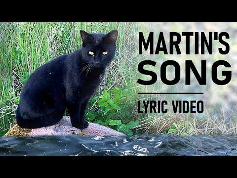 MUSIC VIDEO: Black cat's daily walk to the lake!