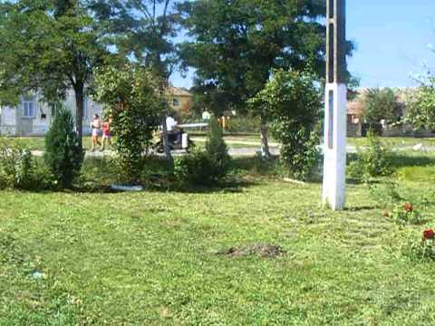 Lovrin  2011 Sandgass