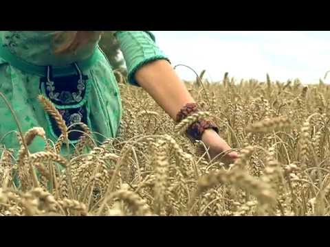 Kitava I Žeme mano (Official Music Video)