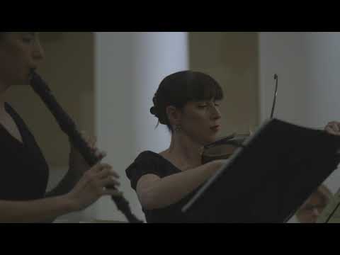 J.S Bach Brandenburg 2nd Concerto BWV 1047 - Highlights