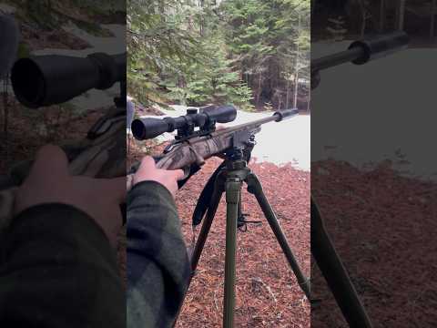 Ruger American Rifle 7.62x39mm Review