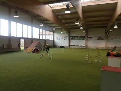 Beim AGI-Training mit ROBIN am 29.12.2018