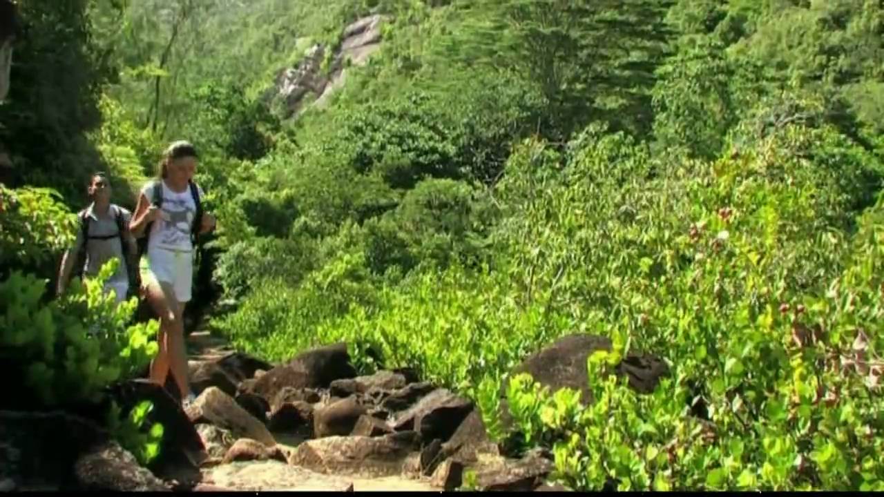 The Seychelles Islands