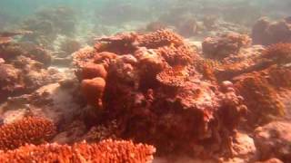 preview picture of video 'Snorkelling in Pulau Weh 2'