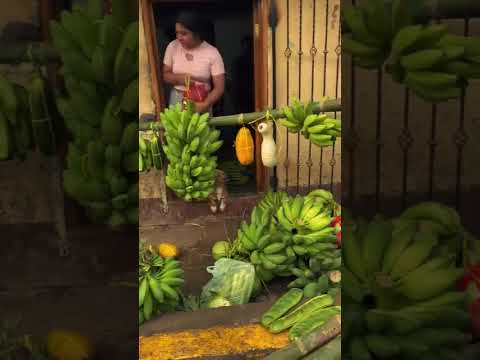CIERRE DE PATRONALES -  - SAN JUAN ORIENTE , Masaya, Nic. 2026
